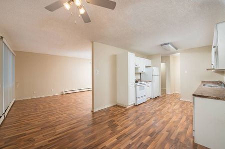 Pioneer Apartments - Photo 5