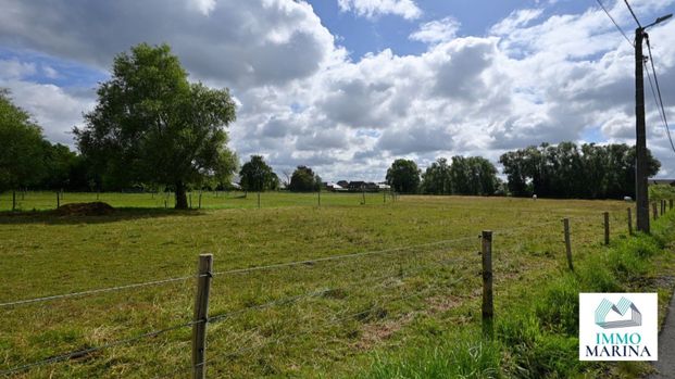 Gerenoveerde woning op ca 20a met zicht op velden te Begijnendijk. - Photo 1