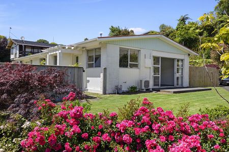 1/12 Ambury Place,Merrilands - Photo 3