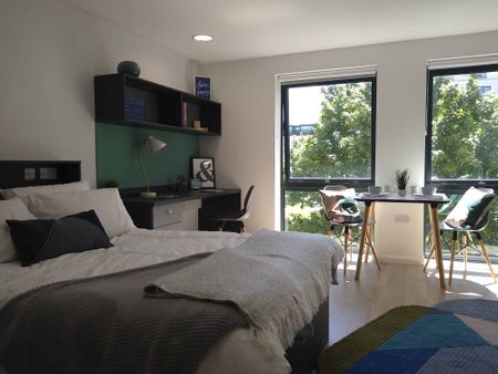 Gold Studio - Photo 5