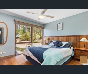 Living amongst the trees, but SO convenient! - Photo 2