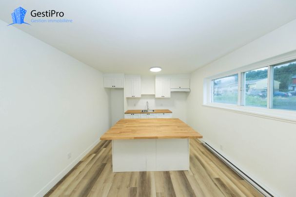 1330-1332 route Marie-Victorin - Photo 1