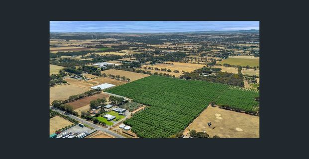 FANTASTIC OPPORTUNITY TO SECURE 13 ACRES - Photo 1