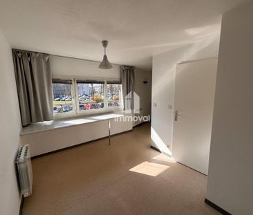 Location Appartement 1 pièce 19m² ILLKIRCH GRAFFENSTADEN 67400 - Photo 5