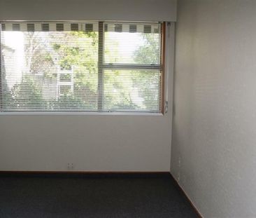 Fully furnished in Havelock North! Available Soon - Photo 4