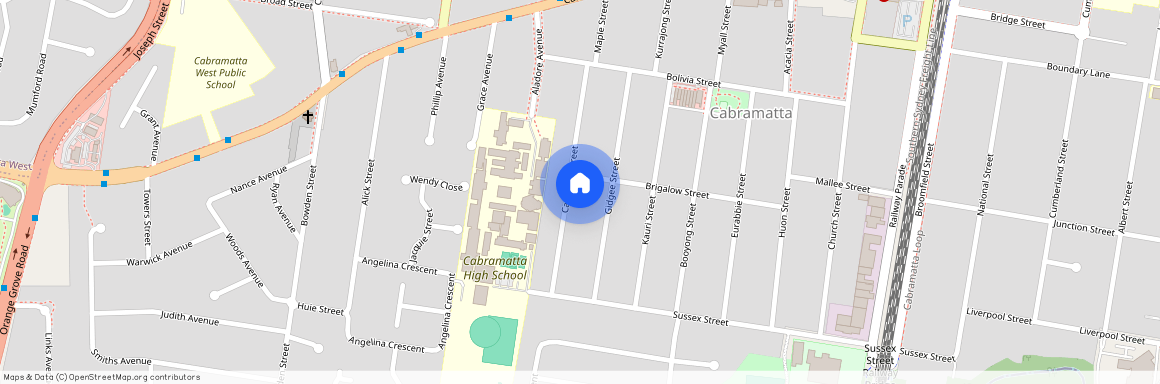 28 Carabeen Street, NSW 2166, Cabramatta