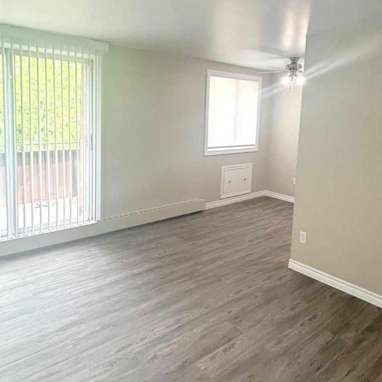 Tillson Apts 2 - ALL INCLUSIVE - Photo 1