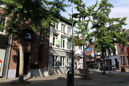 MODERN DUPLEXAPPARTEMENT MET TERRAS IN HET STADSCENTRUM - Photo 5