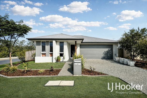New Year, New Home? Modern Living on Generous Block with Great Yard! - Photo 1
