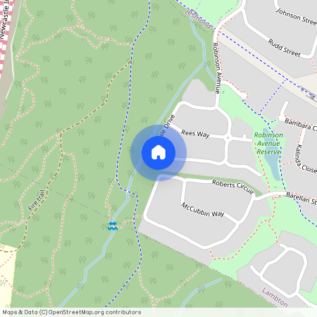 26 Drysdale Drive, Lambton NSW 2299