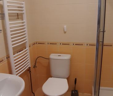 Pronájem bytu 1+kk a garsoniéry 27 m² - Fotografie 5