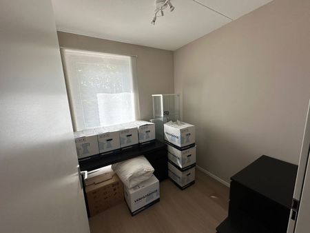 Postiljon - Foto 2
