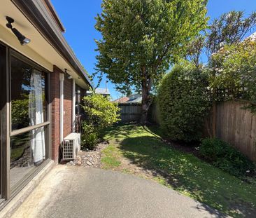 33b Trafalgar Street - Photo 4