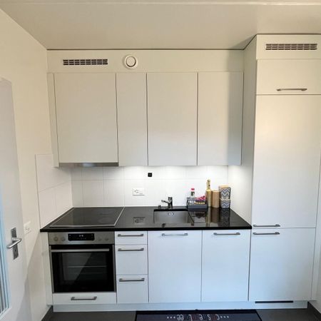 3 room apartment in Chêne-Bourg - Foto 3