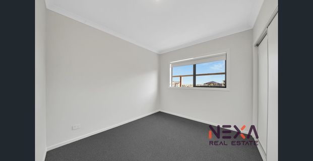 3 Beds, House for Rent in Donnybrook - Photo 1