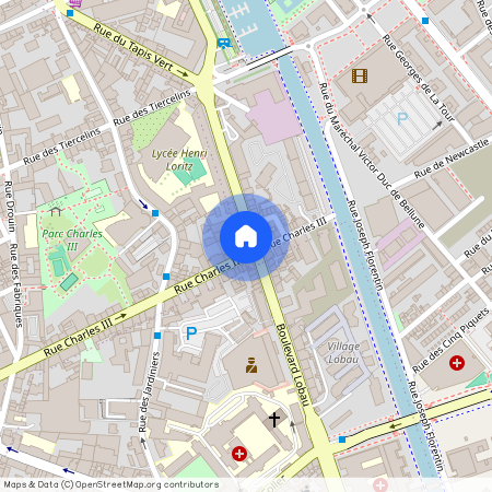 18 BD LOBAU/143 RUE CHAR 3, Charles Iii Nord Tiercelins St-Georges, Nancy