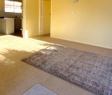 Sunny, Central and Spacious! - Photo 3