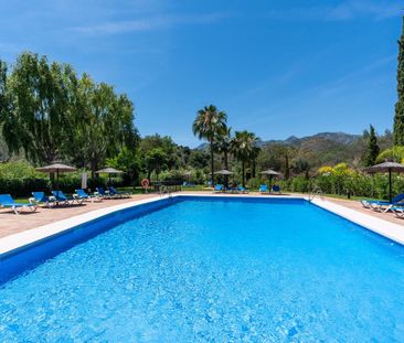 Middle Floor Apartment · Río Real - Photo 3