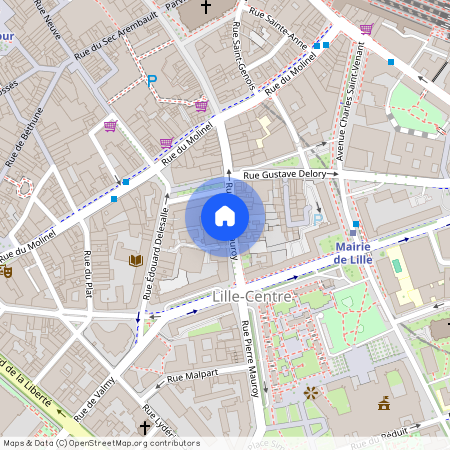 166 Rue Pierre Mauroy, 59000, Lille
