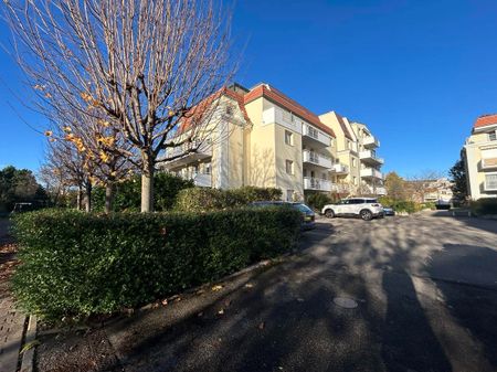 4 pièces à louer ILLKIRCH 3 chambres, balcon, parking et cave - Photo 2