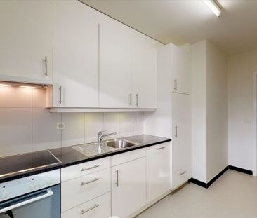 Living in the Ostring - Photo 2