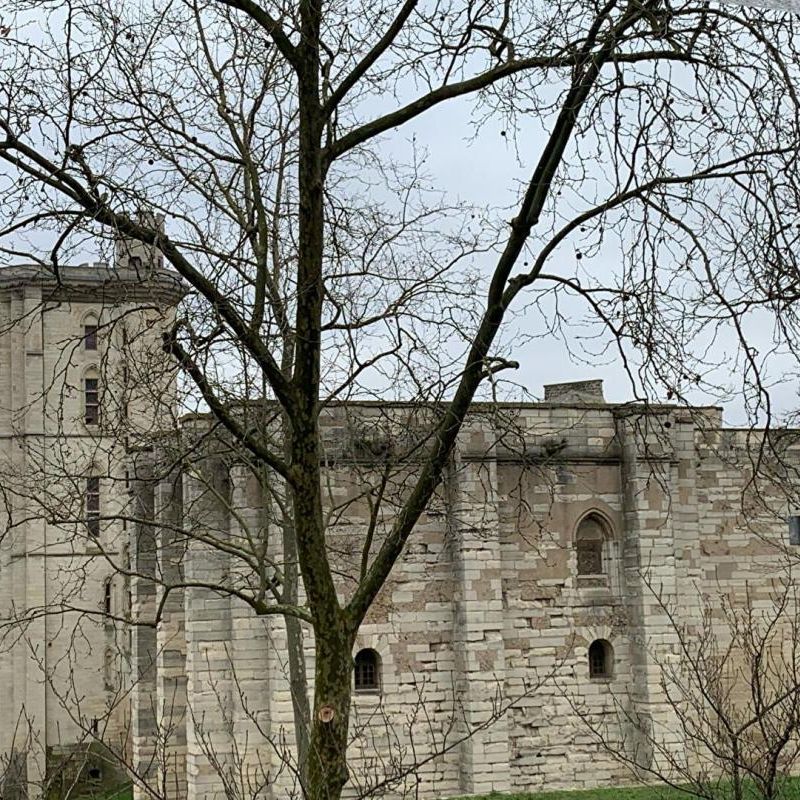 2/3 pièces 40 m2 devant le Château de Vincennes - Photo 1