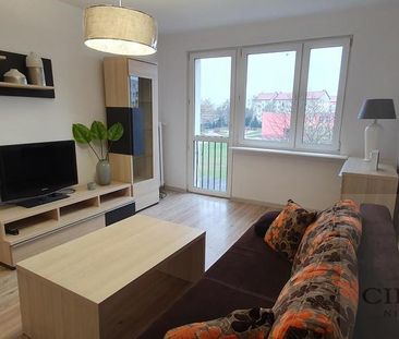 Umeblowana kawalerka na wynajem Nowogard - Zdjęcie 2