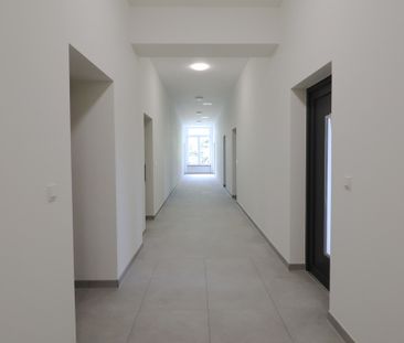 Erstbezug nach Vollsanierung- Charmante 2-Zimmer-Wohnung, EG, WHG 9 - Photo 1
