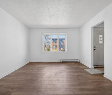 Appartement à louer - Longueuil (Le Vieux-Longueuil) (Lemoyne) Appa... - Photo 2