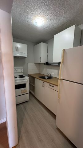 For Lease - 735 Pam Crescent Unit# Bsmt, Newmarket, Ontario - Photo 2