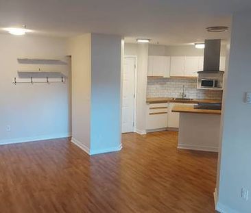 Bright, renovated 2br unit in Garibaldi Estates - Photo 4