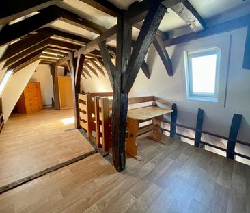 Location Appartement 1 pièce 60m² ANGERS 49100 - Photo 6