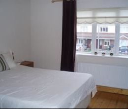 Ashfield Rise, Balbriggan, North County Dublin - Photo 2