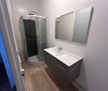 Location Appartement 1 pièce 50m² - Photo 4