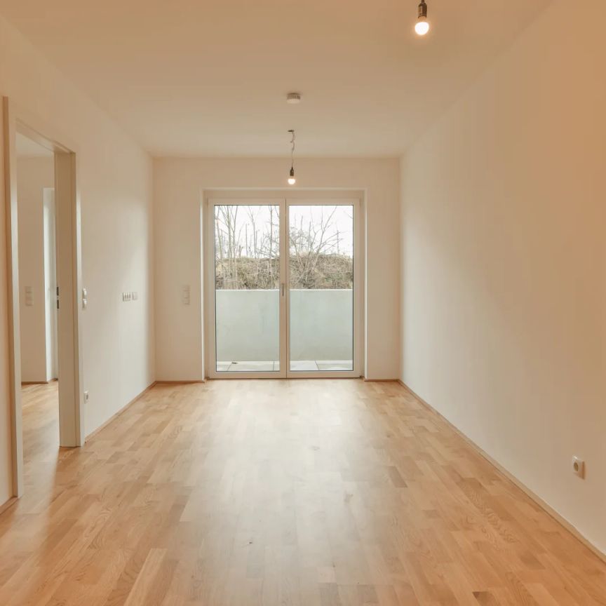 Neubau Erstbezug - Zwei Zimmer Wohnung mit Terrasse und Garten - Photo 1