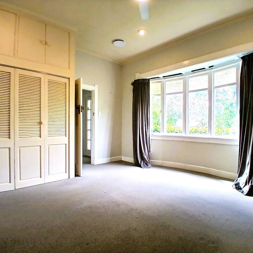 Spacious pet friendly remuera home. - Photo 1