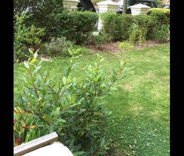 Studio Flat, Holland Road, BN3 - Photo 6