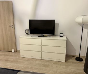 DRUMUL TABEREI. Garsoniera camere de inchiriat - Photo 3