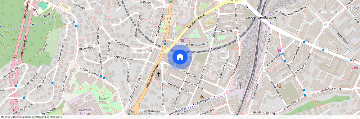 Birkenstrasse 3, 6003 Luzern