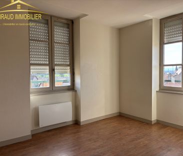Location Appartement 2 pièces 45m² CHARLIEU 42190 - Photo 5