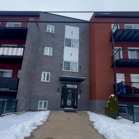 4 1/2 juin/juillet - Photo 4