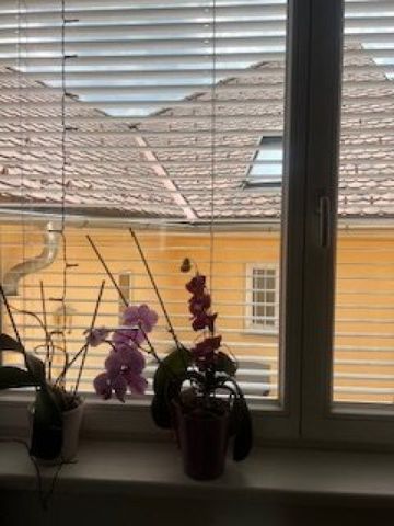 Charmante und gepflegte 1-Zimmer-Wohnung im Zentrum, nähe Kunsthaus: Ihr neues Zuhause für nur 439,49 €! - Photo 4