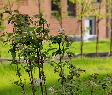 NEUBAU-ERSTBEZUG! Wunderschöne 3-Zimmer-Wohnung mit Garten und Terrasse in MS-Gremmendorf!!! - Photo 1