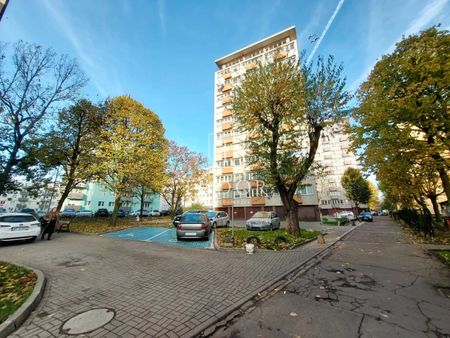 Mieszkanie na wynajem - Zdjęcie 2