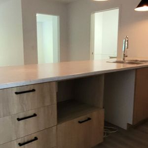 303-1162 Rue Papineau - Photo 2