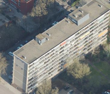 Te huur: Spreeuwlaan 34 - Photo 1
