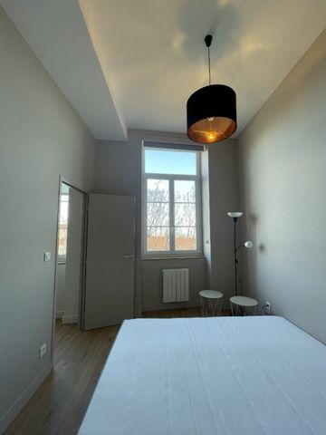 APPARTEMENT T2 A LOUER LYON 1ER ARRONDISSEMENT Griffon-Royale - Photo 3