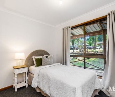 13 Palm Tree Crescent, Bangalow for Lease - Photo 6