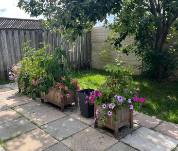 For Lease - 383 Jay Crescent, Orangeville, Ontario - Photo 6