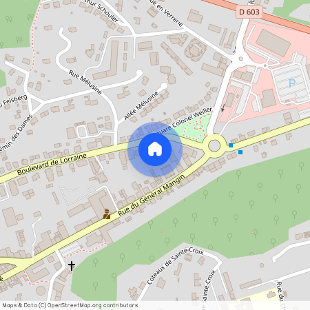Saint-Avold - 57500